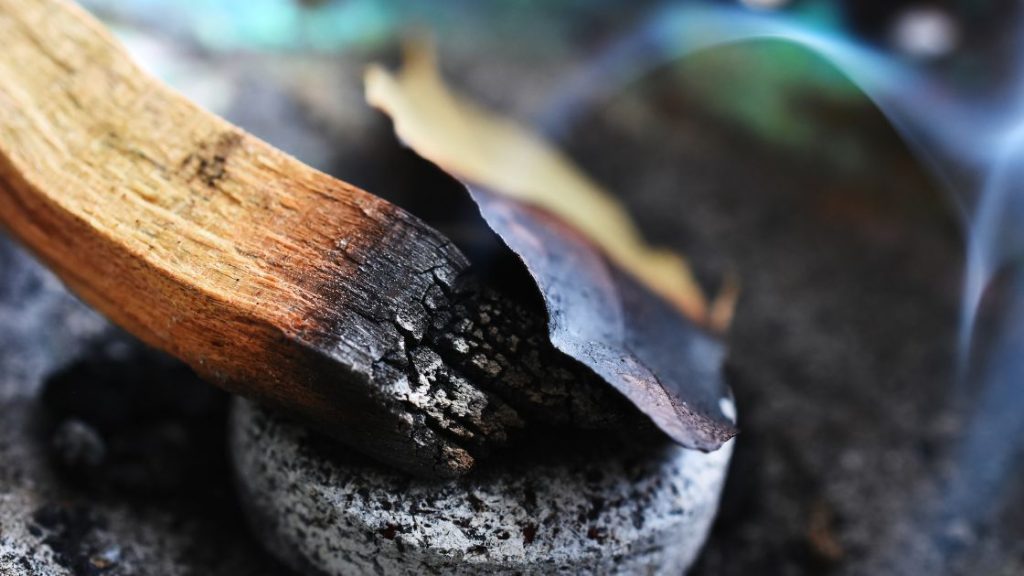 Liść laurowy i palo santo na oczyszczanie energii domu