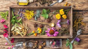 zioła które pomagają na wzdęcia i gazy: anyz, koper włoski