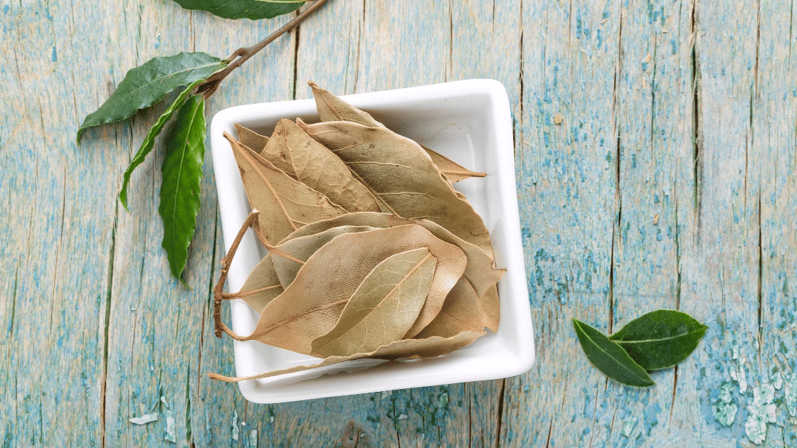 Suszone liście laurowe w białej miseczce na drewnianym tle, obok świeże liście laurowe.