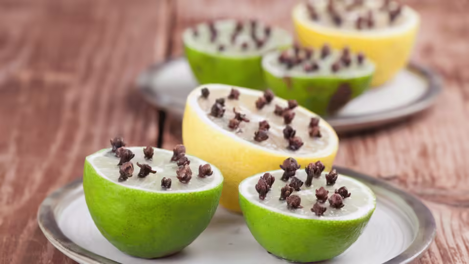 Cytrusowa moc - skórka cytryny i goździki