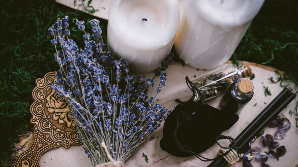 wiedźmy, czarownice, rodzaje czarownic, historia wiedźm, magia, ziołolecznictwo, rytuały, czarownik, wicca, czarownice zielarki, czarownice miejskie