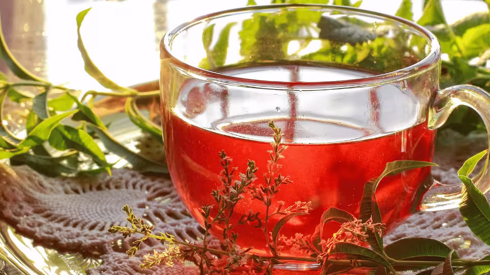  Szklanka z czerwonym naparem z dymnicy lekarskiej, otoczona świeżymi ziołami, na tle słonecznego, naturalnego otoczenia. Napar ten jest ceniony za swoje właściwości wspierające wątrobę i detoksykację organizmu.