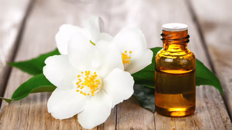 Jaśmin – luksusowy zapach, który przyciąga sukces i dobrobyt.