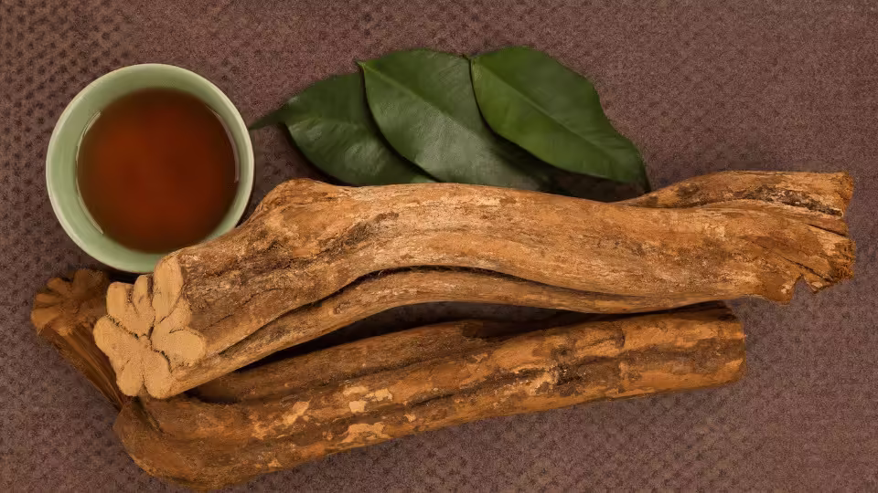 Kawałki liany Banisteriopsis caapi, liście Psychotria viridis i filiżanka naparu ayahuasca ułożone na brązowym tle, ukazujące podstawowe składniki używane w ceremoniach szamańskich.