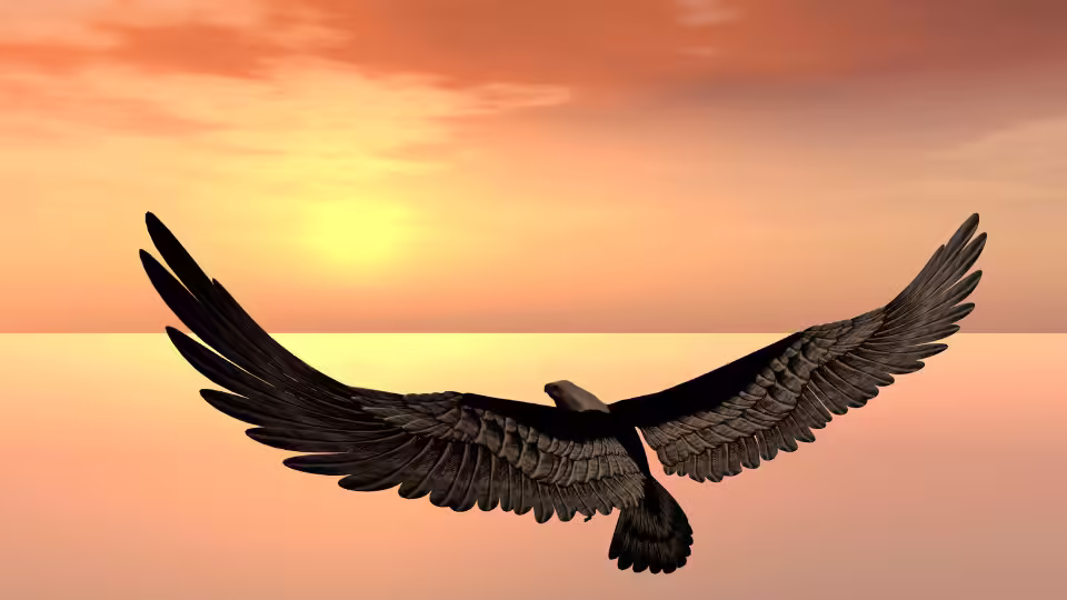 Orzeł rozpościerający skrzydła podczas lotu na tle zachodzącego słońca nad spokojnym morzem. Widok ten symbolizuje siłę, wolność i majestat, które często były przypisywane orłowi w nordyckiej mitologii.