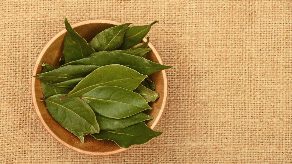 Drewniana miska wypełniona świeżymi, zielonymi liśćmi laurowymi, umieszczona na tle jutowego materiału.