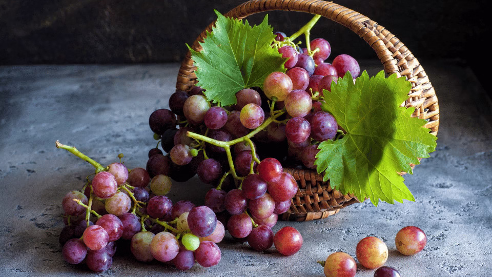 Kosz wiklinowy wypełniony czerwonymi i różowymi winogronami z zielonymi liśćmi, symbolizującymi obfitość i sylwestrową tradycję.