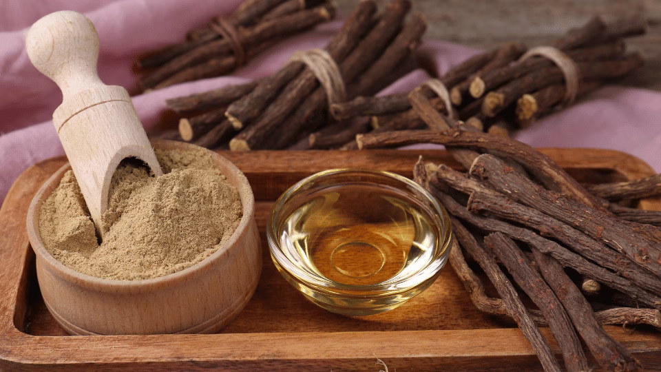 Korzeń i proszek z lukrecji z olejkiem – naturalny składnik ziołowy wspierający zdrowie płuc i oskrzeli.